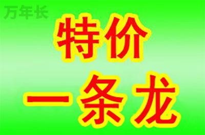 宣城安徽省宣城市泾县墓地多少钱一个？